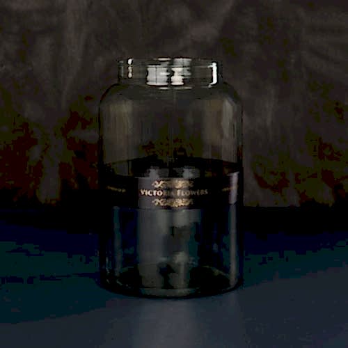 Liliana - Image 5